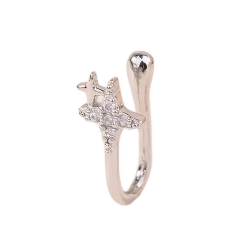 Faux Piercing Argent