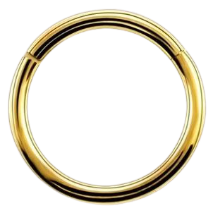 Piercing Lèvre Anneau En Titane