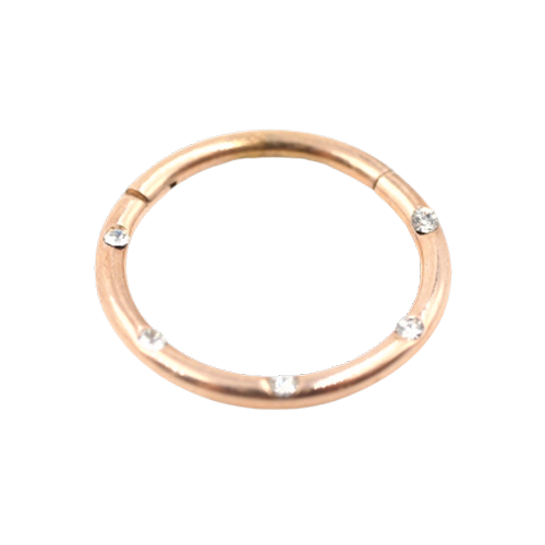 Piercing Lèvre Anneau