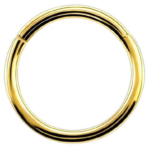 piercing-nez-anneau-fin-or